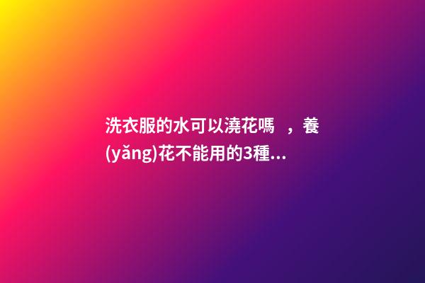 洗衣服的水可以澆花嗎，養(yǎng)花不能用的3種土、4種水-第1張-觀點(diǎn)-玄機(jī)派